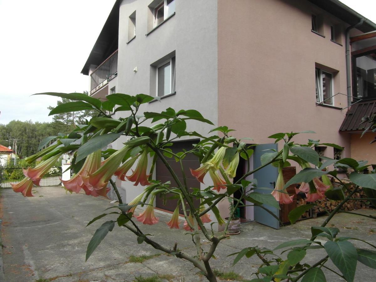 Villa Banita Ustka Exterior photo