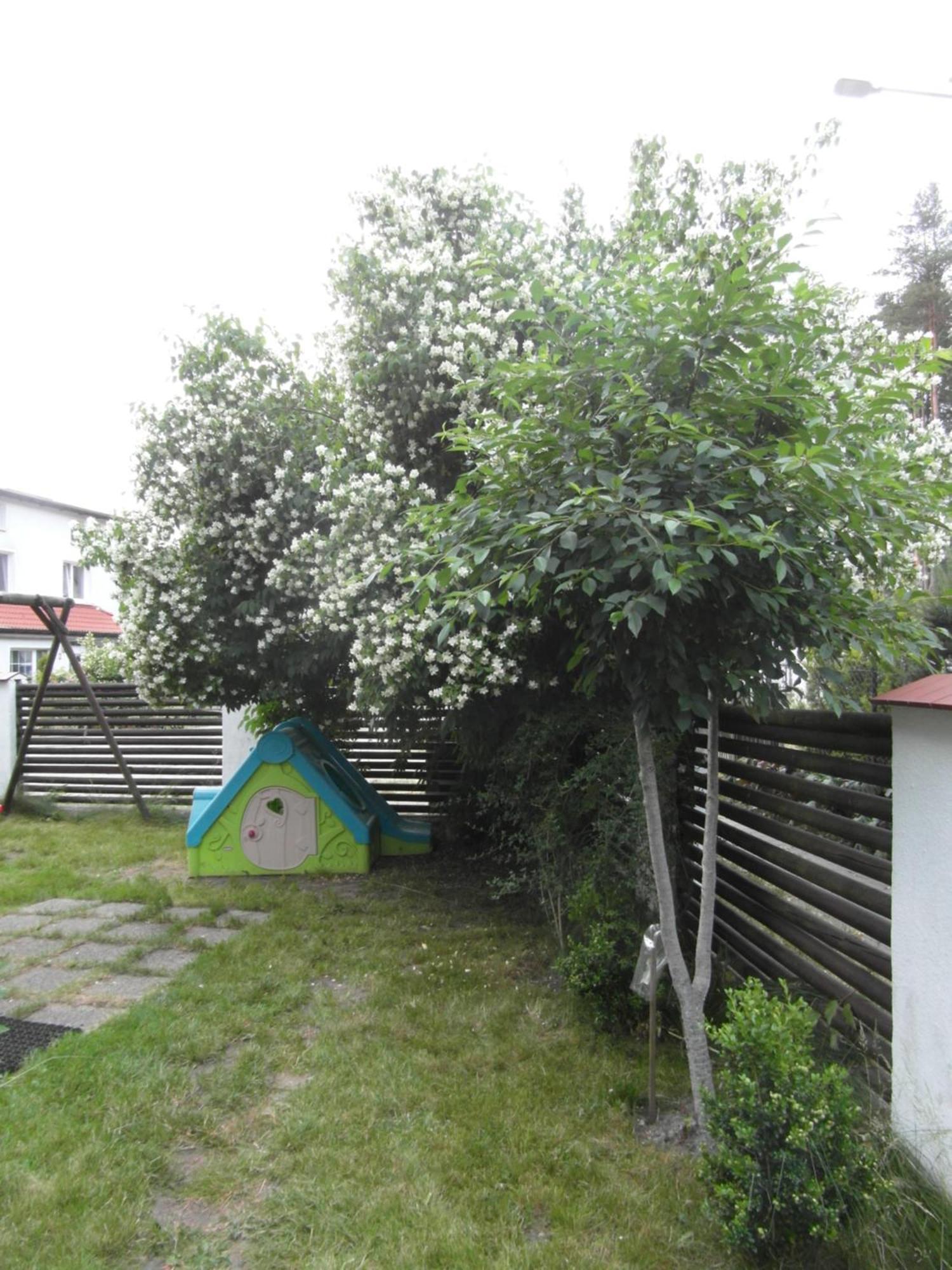 Villa Banita Ustka Exterior photo