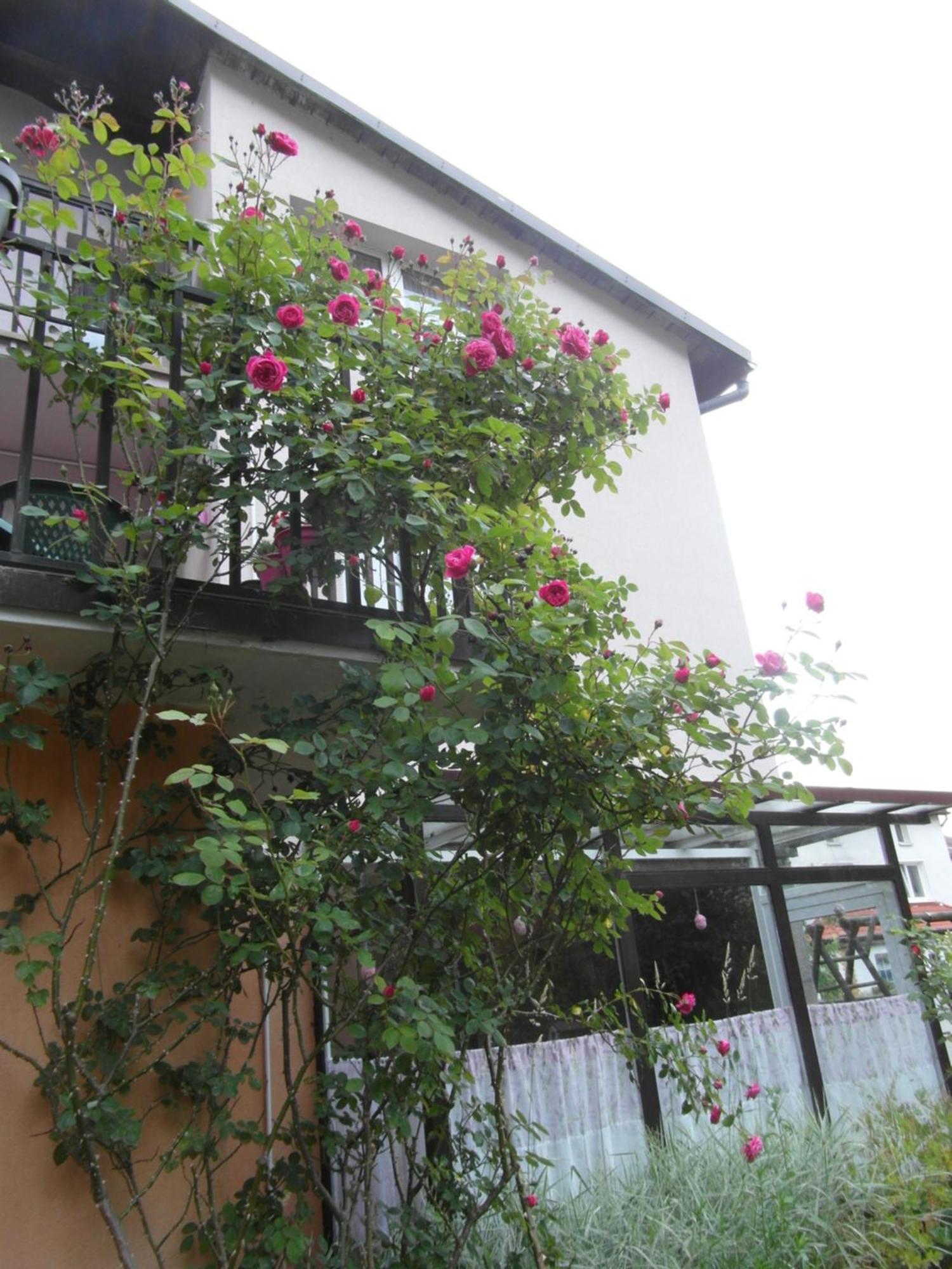 Villa Banita Ustka Exterior photo